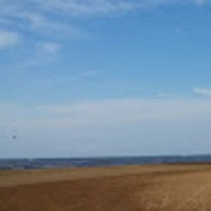 Meet your Posher, Garry